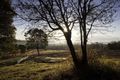 Property photo of 7 Stone Creek Drive Upper Coomera QLD 4209