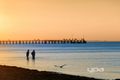 Property photo of 16 Kangerong Avenue Dromana VIC 3936