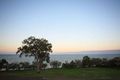 Property photo of 168 Esplanade Point Vernon QLD 4655