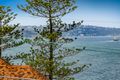 Property photo of 6/14 The Crescent Manly NSW 2095
