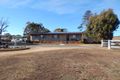 Property photo of 12 Monro Street Nimmitabel NSW 2631