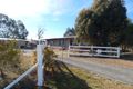 Property photo of 12 Monro Street Nimmitabel NSW 2631