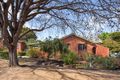 Property photo of 19 Propsting Street Curtin ACT 2605