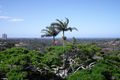 Property photo of 1/25 Pioneer Parade Banora Point NSW 2486