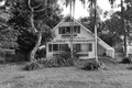 Property photo of 14 Welsby Street Coochiemudlo Island QLD 4184