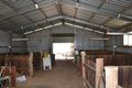 Property photo of 1391 Cudmore Road Nobby QLD 4360