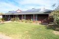 Property photo of 10 Smith Avenue Bordertown SA 5268