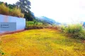 Property photo of 19 Drummer Close Kanimbla QLD 4870