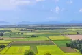 Property photo of LOT 125 Mount Cudmore Road Bemerside QLD 4850