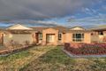 Property photo of 7 Bogong Crescent Tatton NSW 2650