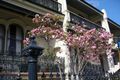 Property photo of 2/280 Bridge Road Forest Lodge NSW 2037