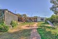Property photo of 44 Cheek Avenue Gawler East SA 5118