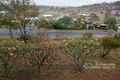Property photo of 8 Hooper Drive Plainland QLD 4341