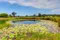 Property photo of 32 Rianna Road The Dawn QLD 4570