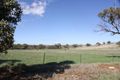 Property photo of 91 Tathra Drive Junee NSW 2663
