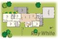 Property photo of 224 Scenic Drive Budgewoi NSW 2262