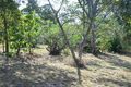 Property photo of 55 Old Coach Way Ninderry QLD 4561