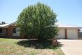 Property photo of 75 Jack Avenue Mount Austin NSW 2650