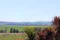Property photo of 48 Carlyle Avenue Llanarth NSW 2795