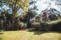 Property photo of 11 Grosvenor Crescent Summer Hill NSW 2130
