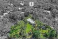 Property photo of 6806 Mulligan Highway Mount Carbine QLD 4871