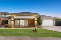 Property photo of 69 Ellaroo Circuit Clyde North VIC 3978