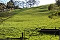 Property photo of 190 Shellcot Road Korumburra VIC 3950