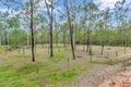 Property photo of 67-71 Greenock Road South Maclean QLD 4280
