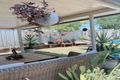 Property photo of 3 Harrison Place Minto NSW 2566