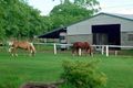 Property photo of 276 Ipswich-Boonah Road Purga QLD 4306