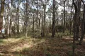 Property photo of Pine Court Dales Creek VIC 3341