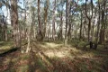 Property photo of Pine Court Dales Creek VIC 3341
