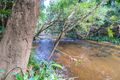 Property photo of 216 Palm Valley Road Koah QLD 4881