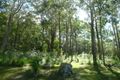 Property photo of 179 Sahara Road Glass House Mountains QLD 4518