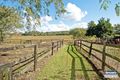Property photo of 90 Lancebark Road Glenlogan QLD 4280