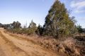 Property photo of 391 Chifley Road Dargan NSW 2786