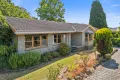 Property photo of 23 Dimora Avenue Camperdown VIC 3260