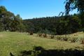 Property photo of 51 Richardsons Road Black Hills TAS 7140