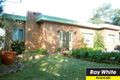 Property photo of 9 Lime Kiln Road Lugarno NSW 2210