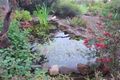 Property photo of 95 Balfours Road Willow Grove VIC 3825