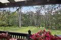Property photo of 42 Coorabin Court Tallebudgera QLD 4228