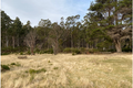 Property photo of 12 Lee Street Rossarden TAS 7213