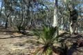 Property photo of 100 Hergenhans Road Murrah NSW 2546