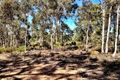 Property photo of 65 Wandoo Circle Toodyay WA 6566