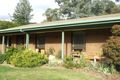 Property photo of 64 Halls Road Myrtleford VIC 3737