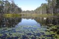 Property photo of 647 Matchbox Road Deepwater QLD 4674