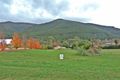 Property photo of 50 School Road Wandiligong VIC 3744