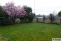 Property photo of 140 Booth Street Collie WA 6225