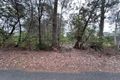 Property photo of 66 Waterpark Road Basin View NSW 2540