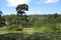 Property photo of 23 Burgum Road North Maleny QLD 4552